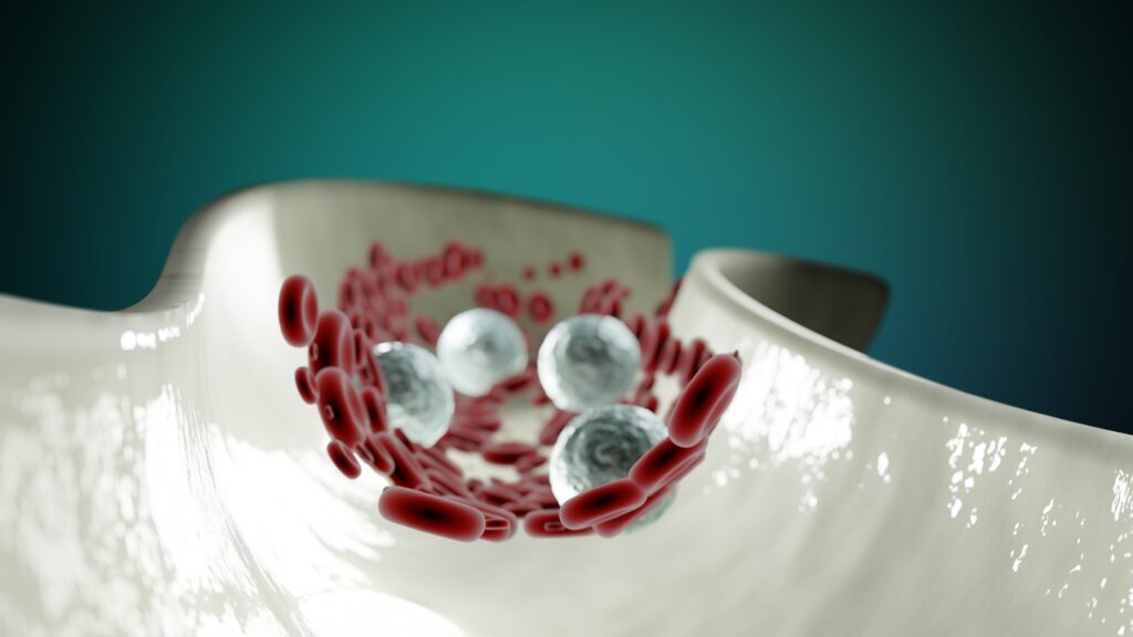 THR y Salud Cardiovascular: Mitos, Riesgos y Precauciones